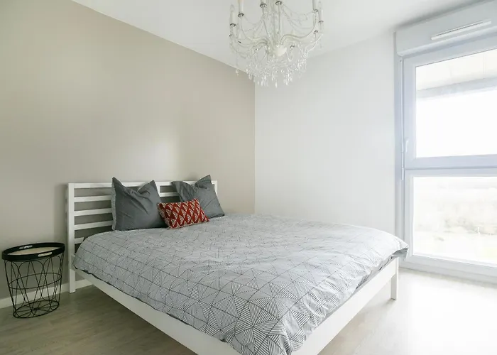 Le Beehive - T3 Spacieux Et Paisible